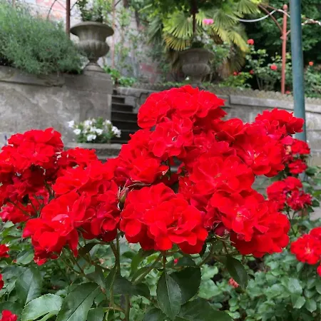 Willa Palazzo Caroni, Exclusive Private With Terrace And Garden *