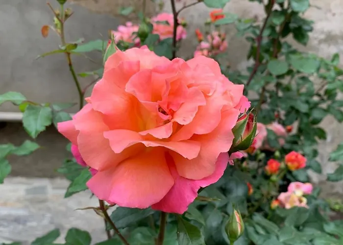 Palazzo Caroni, Exclusive Private With Terrace And Garden Piasco