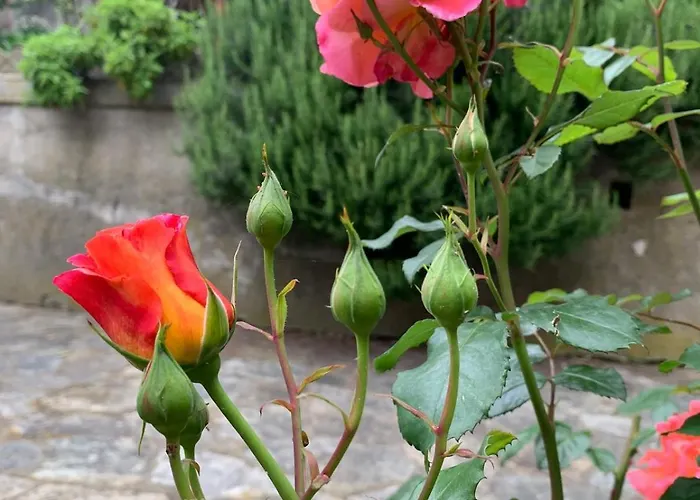 Palazzo Caroni, Exclusive Private With Terrace And Garden